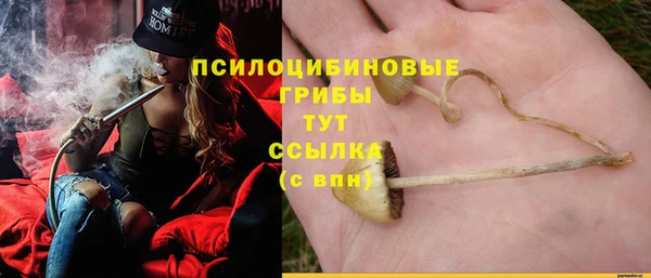 бошки Горняк