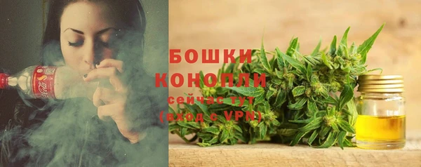 бошки Горняк