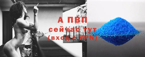 бошки Горняк