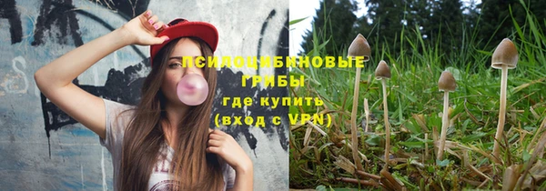бошки Горняк