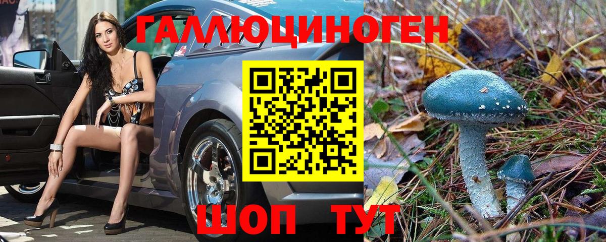 Псилоцибиновые грибы мицелий Моршанск